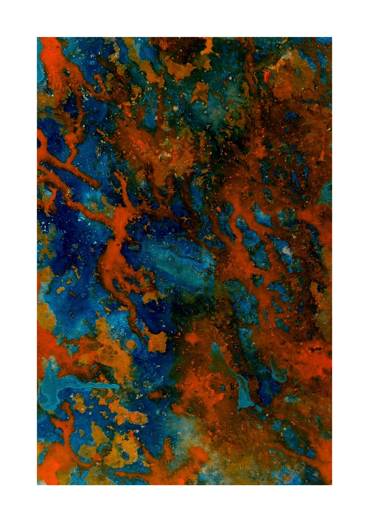 Print Exclusivo da Obra "Quando a terra arde"